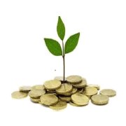 Yamini Investment Company Ltd