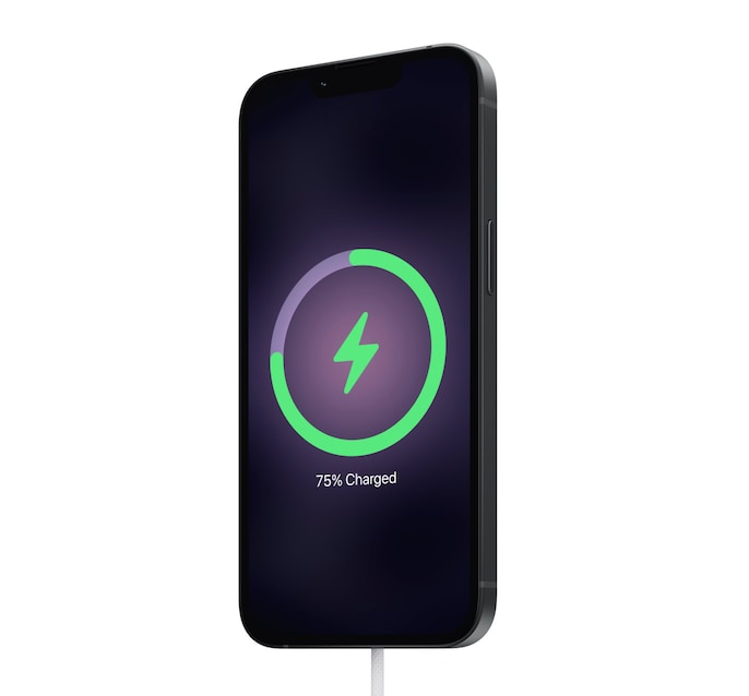 Charging Leap Charging Leap
