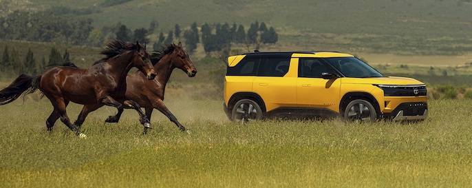 Pure L(O) is the first Legend trim with a panoramic sunroof Pure L(O) is the first Legend trim with a panoramic sunroof