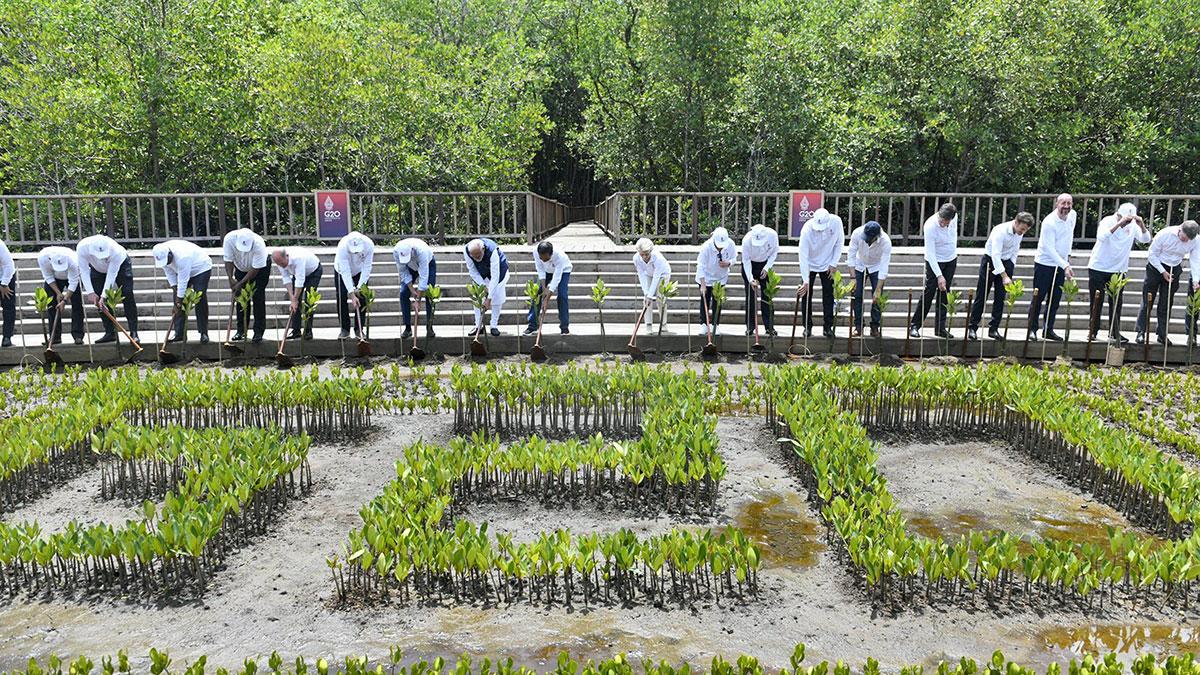 G20 Summit in Bali LIVE: PM Modi meets French Prez Emmanuel Macron; visits mangrove forest