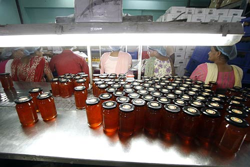 Honey Money: The story of Kashmir Apiaries