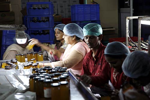 Honey Money: The story of Kashmir Apiaries