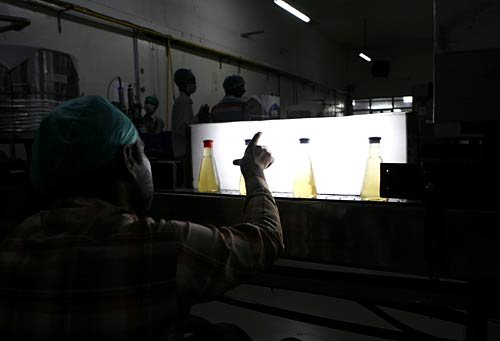 Honey Money: The story of Kashmir Apiaries