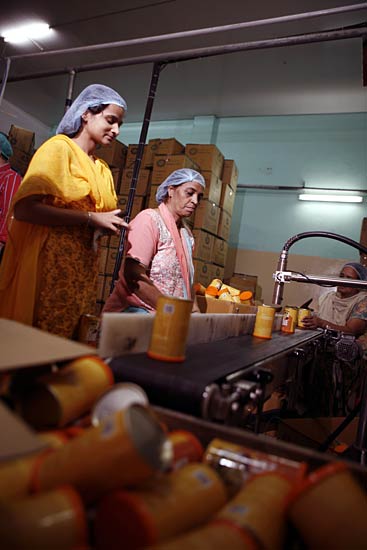 Honey Money: The story of Kashmir Apiaries