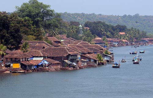 Environmental concerns at Jaitapur