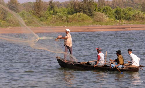 Environmental concerns at Jaitapur