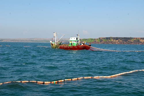 Environmental concerns at Jaitapur