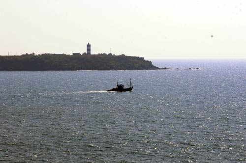 Environmental concerns at Jaitapur