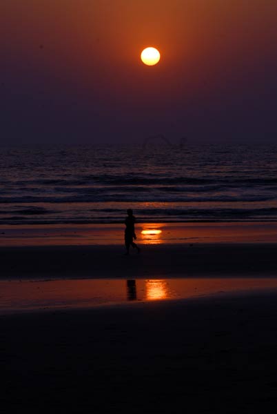 Environmental concerns at Jaitapur