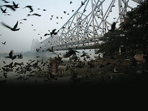 100-year-old Indian companies