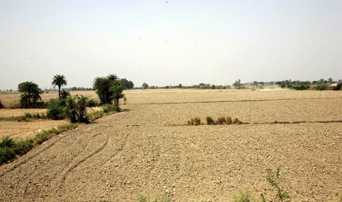 Bhatta Parsaul caught in land knot