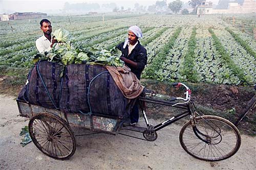 FDI in retail: What's in store