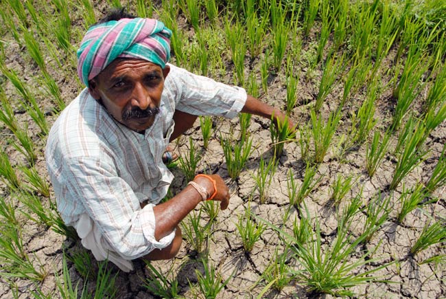 Telangana issue has been simmering in AP