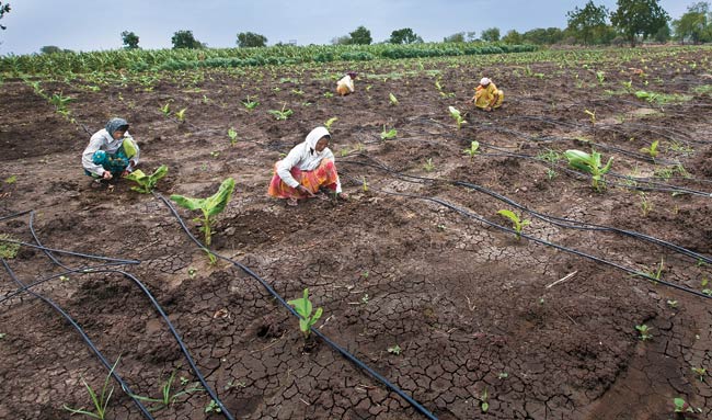 Innovations: The power of Ideas