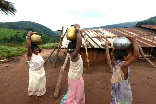 Beyond mining in Niyamgiri Hills