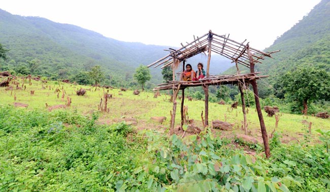 Beyond mining in Niyamgiri Hills