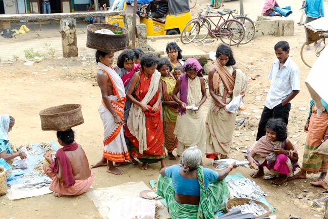 Beyond mining in Niyamgiri Hills