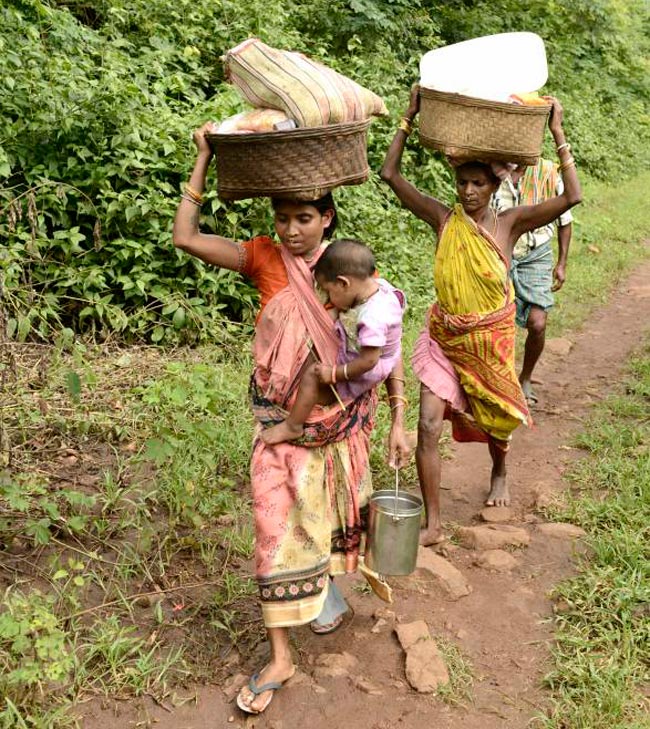 Beyond mining in Niyamgiri Hills