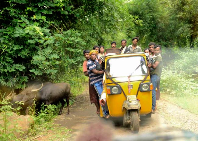 Beyond mining in Niyamgiri Hills