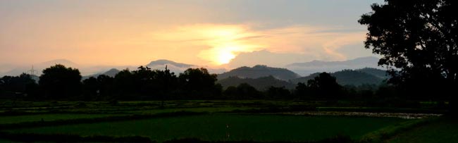 Beyond mining in Niyamgiri Hills