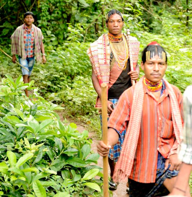 Beyond mining in Niyamgiri Hills