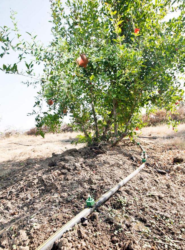 The transformation of Hiware Bazar