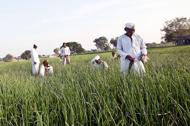 The transformation of Hiware Bazar
