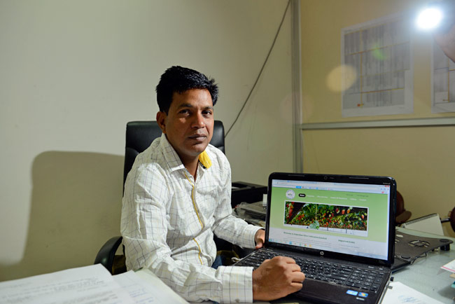 How ROCL is cultivating Olive in Rajasthan