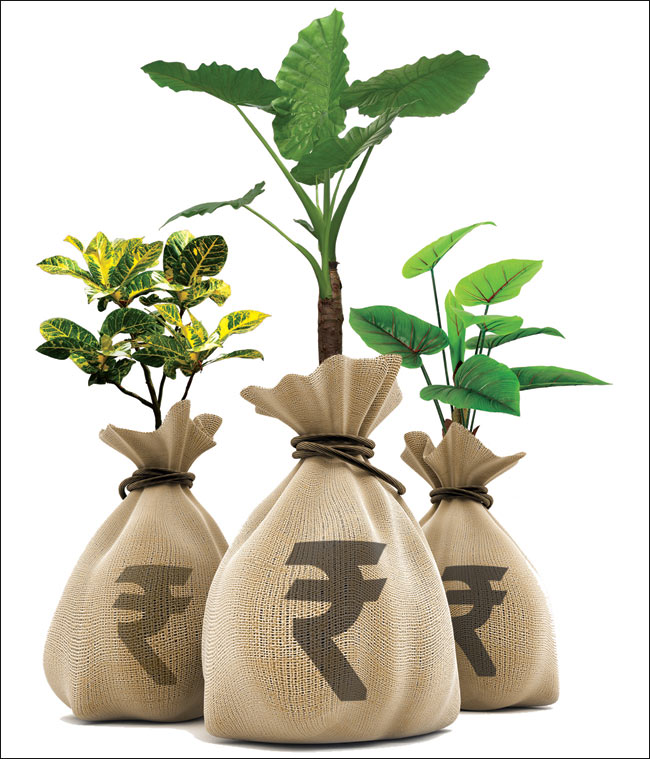 How investing Rs 5000 per month can make you a crorepati