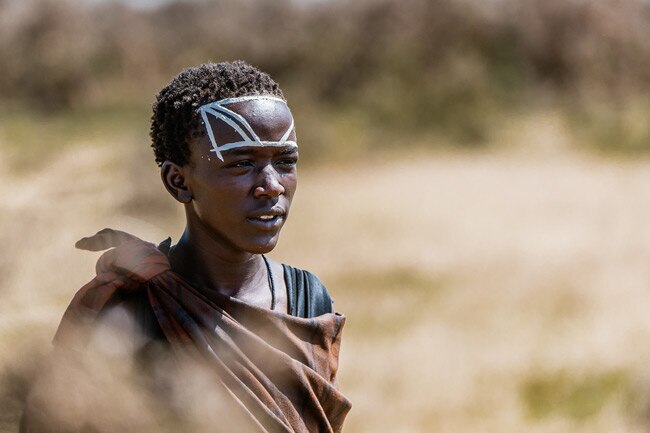 Up Close & Personal: Serengeti Wildlife