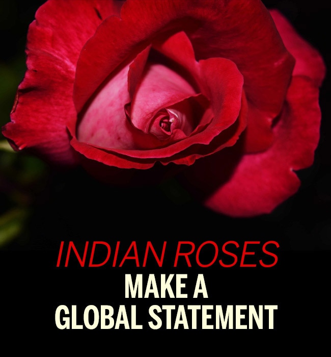 Indian roses make a global performance