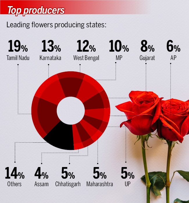 Indian roses make a global performance