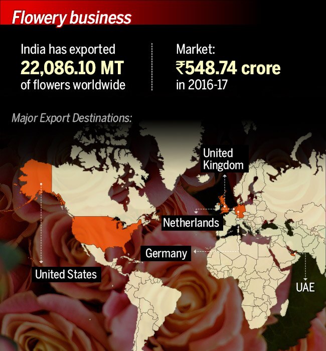 Indian roses make a global performance