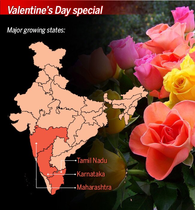 Indian roses make a global performance