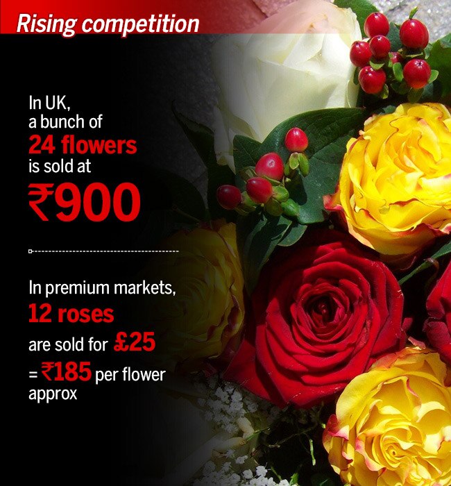 Indian roses make a global performance