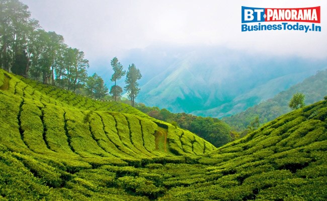 Holiday season! Goa still favourite; Seychelles top emerging destination