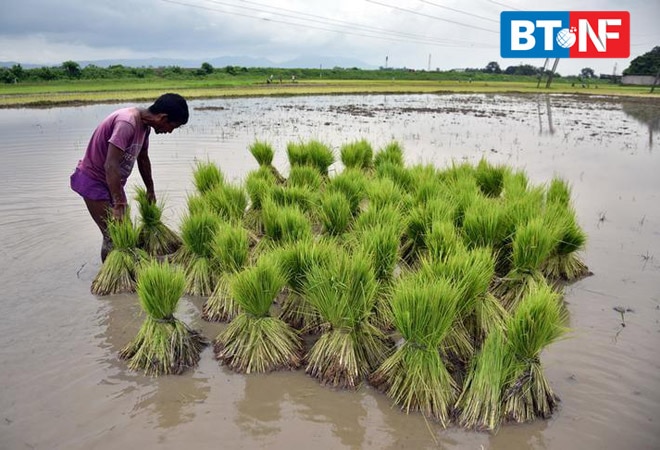 MSP hike likely to push inflation rates, farm income, say experts