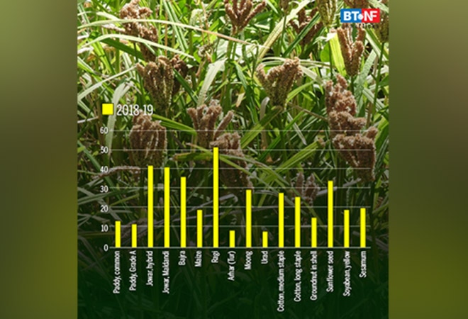 MSP hike likely to push inflation rates, farm income, say experts