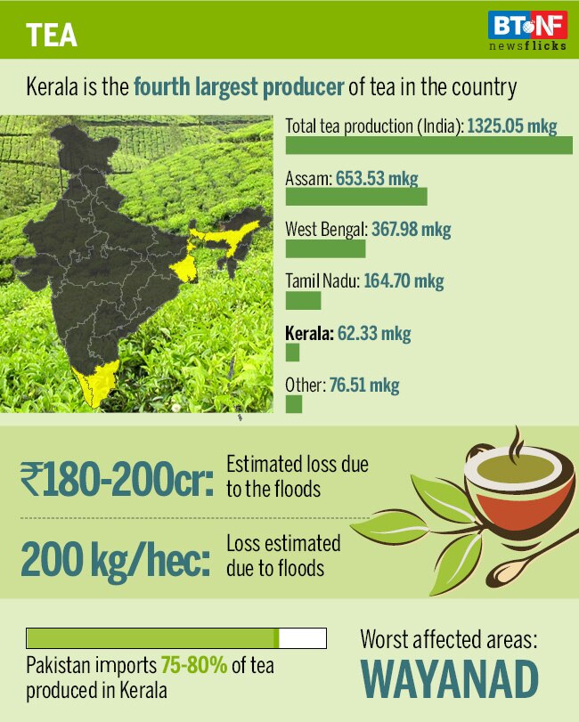 Here are the worst-affected industries in flood-wrecked Kerala