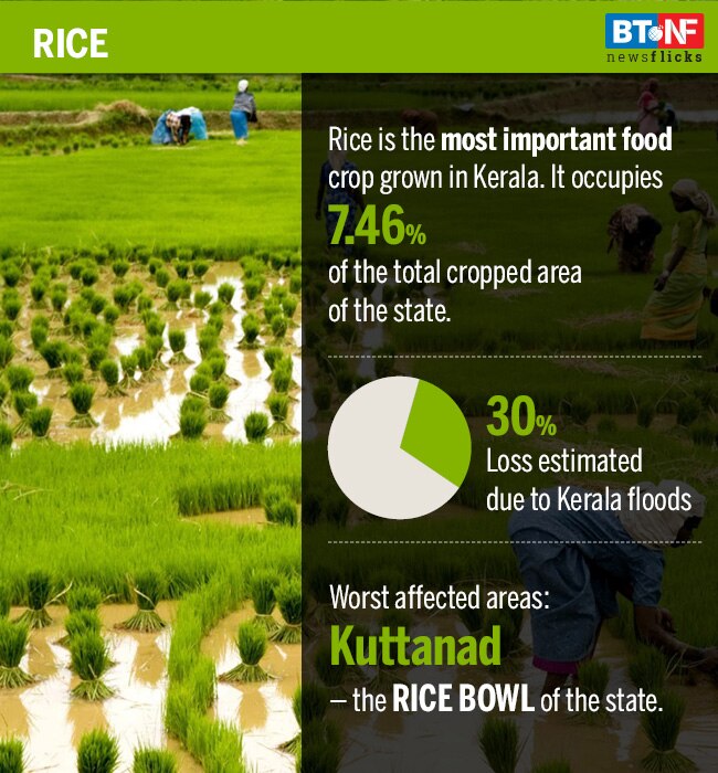 Here are the worst-affected industries in flood-wrecked Kerala