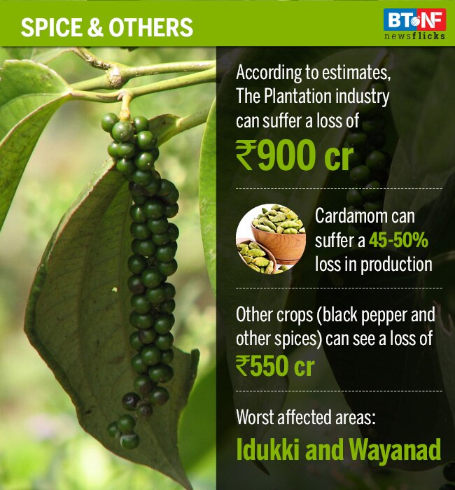 Here are the worst-affected industries in flood-wrecked Kerala