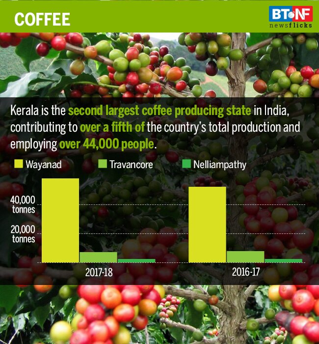Here are the worst-affected industries in flood-wrecked Kerala