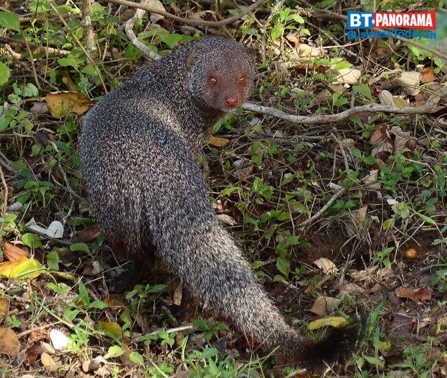 Here are 7 affordable travel destinations for Indians