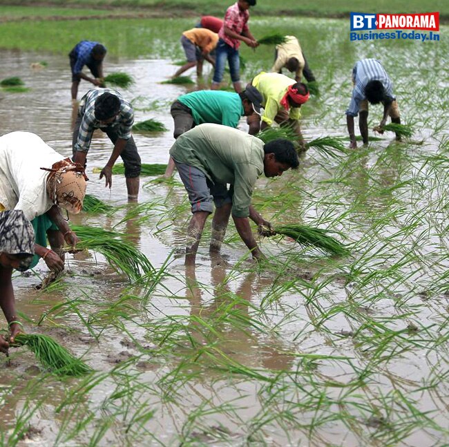 Highlights of Budget 2020: Will it save the economy?