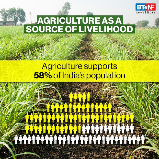 Labour & logistics issues leave farmers in despair