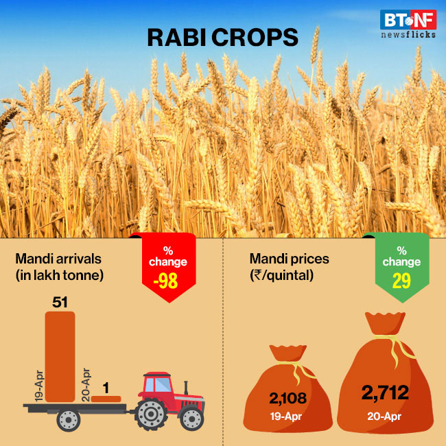 Labour & logistics issues leave farmers in despair