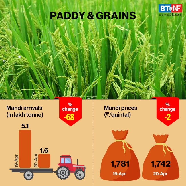 Labour & logistics issues leave farmers in despair