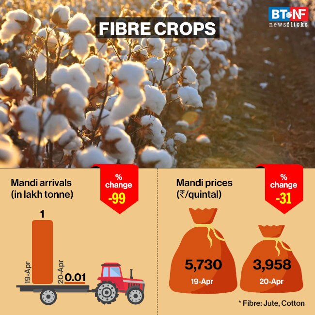 Labour & logistics issues leave farmers in despair