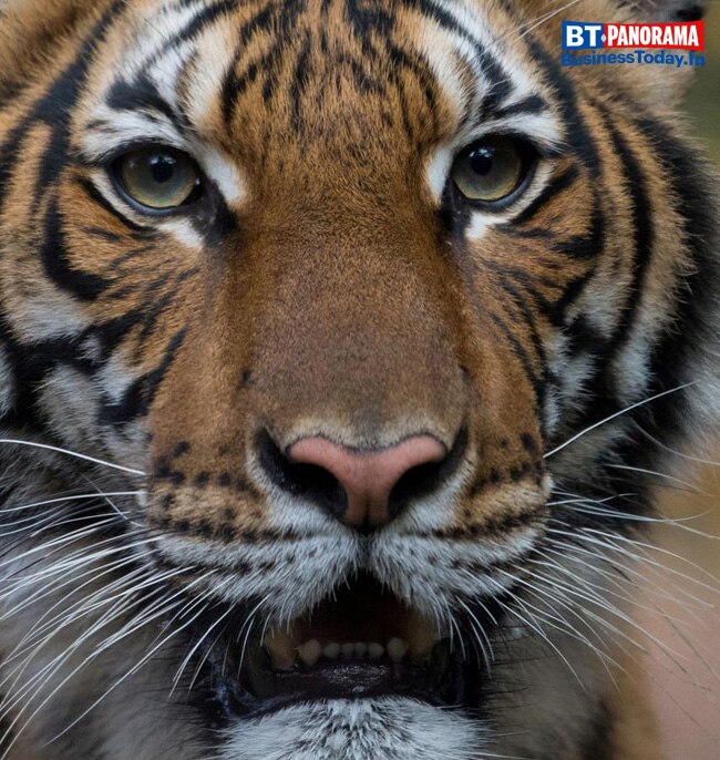 Coronavirus pandemic's most unforgettable moments 