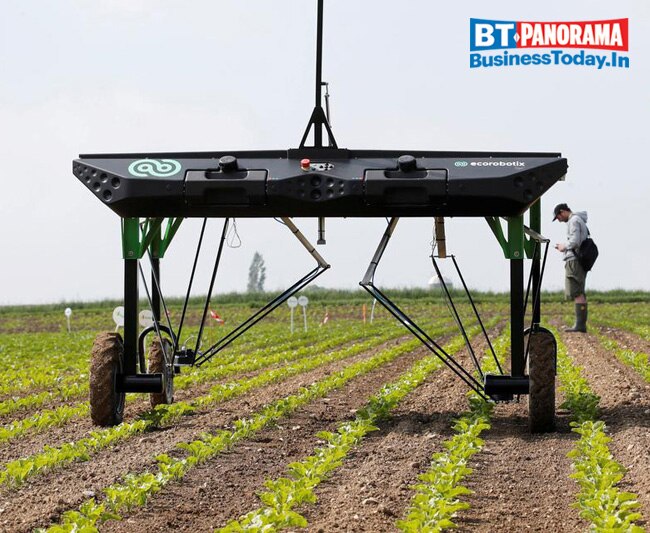 Seven sectors bullish on hiring post lockdown